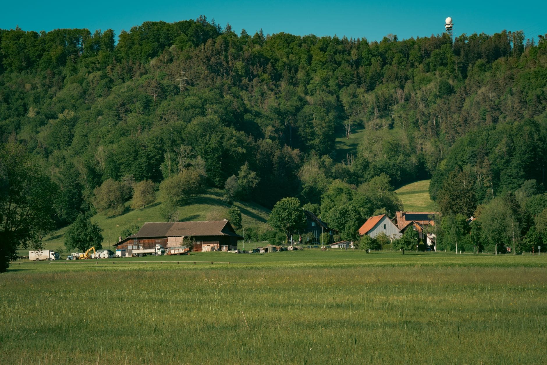 Sielskie gospodarstwa agroturystyczne wśród zielonych łąk i lasów
